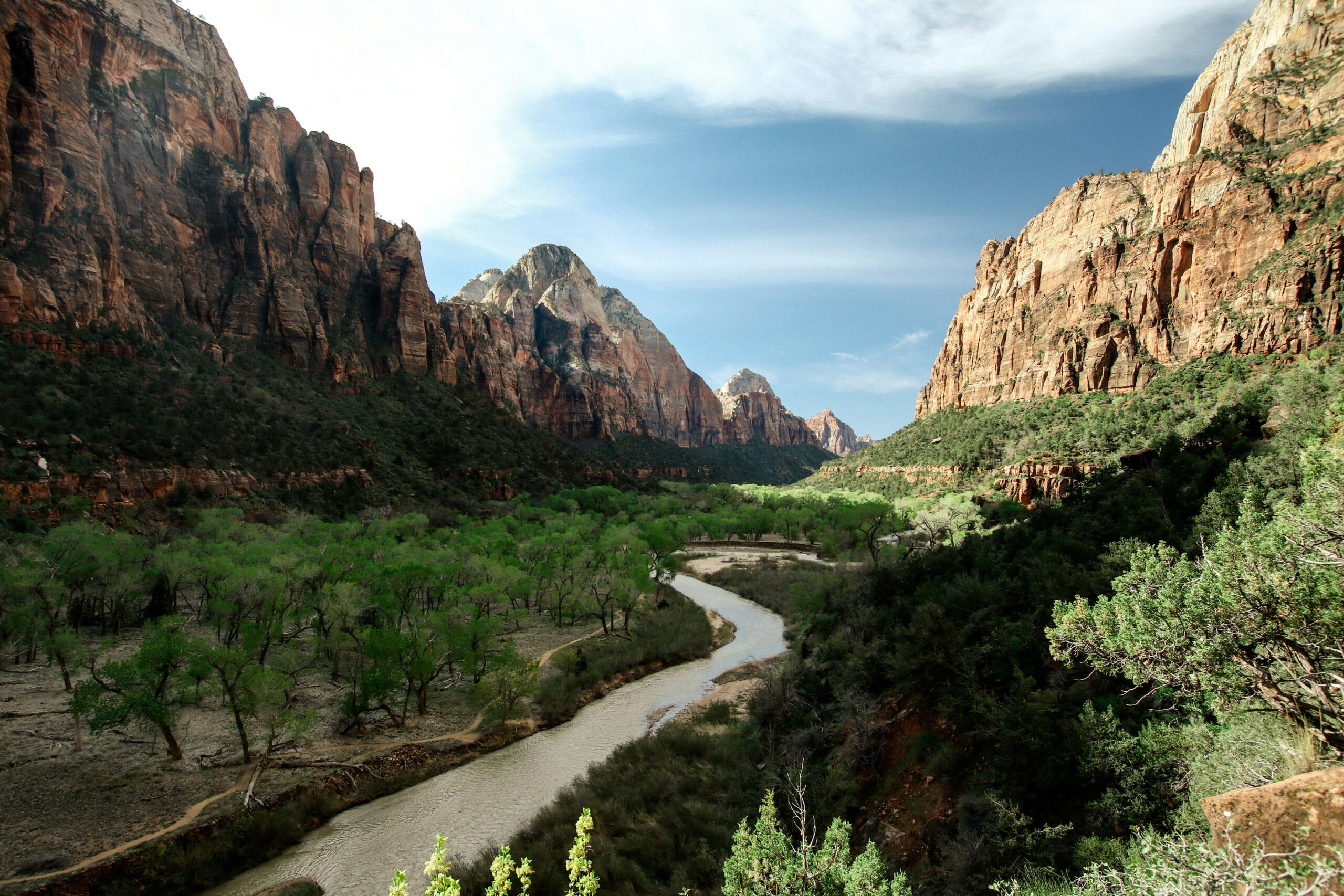 flowing river near tall trees viewing mountain under blue and white skies